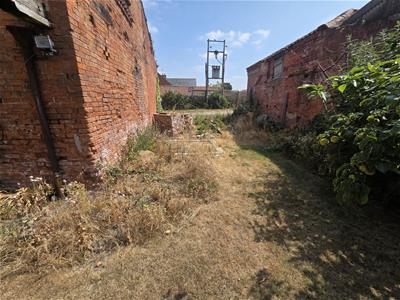 Picture 31